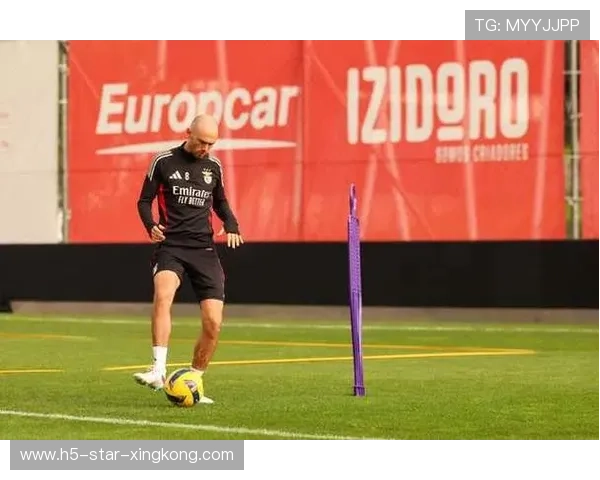 本菲卡奥尔斯内斯顺势抽射皮球贴地而入:从瞬间到持久的生活训练之道