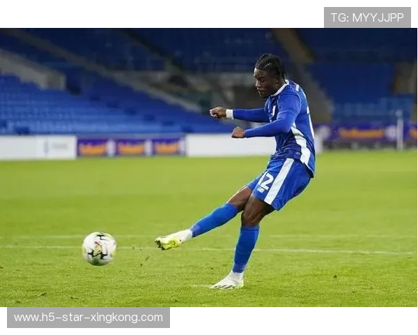 加的夫城格兰特多次成功反插得分区